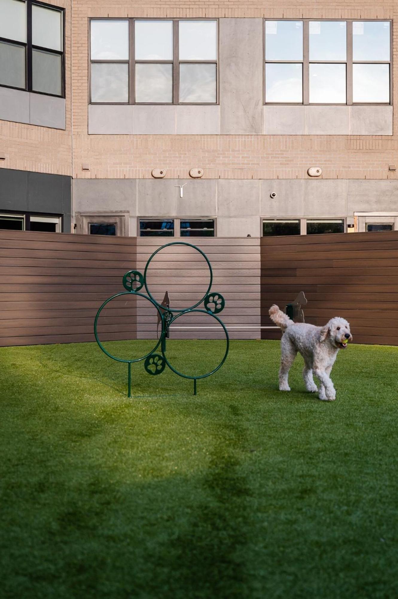 Luxury Apartments By Hyatus At Pierpont 뉴헤이번 외부 사진